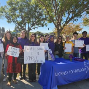 40HR DV Counselor Training