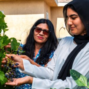 40HR DV Counselor Training: Partner Orgs, Group Agencies, Students